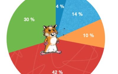 Depot-Aufteilung: Dezember 2022